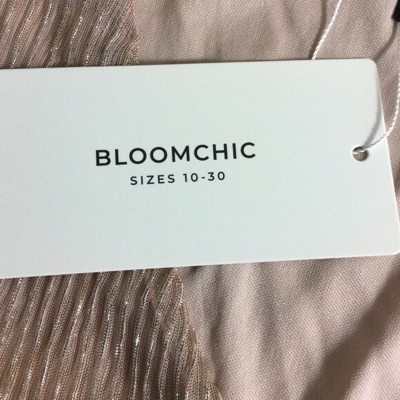 BLOOMCHIC  SZ 14 -16 1x Plus pink metallic  textured vneck midi dress NWT B120 - Picture 5 of 8